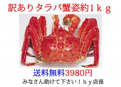 絶品のかに!わっしょい